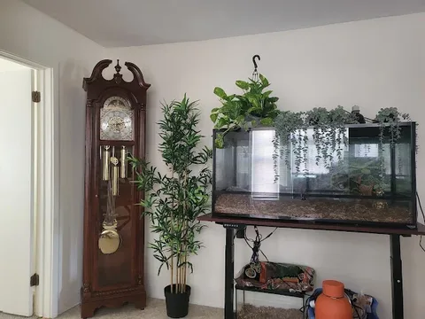 Antique Clock Repair Boston