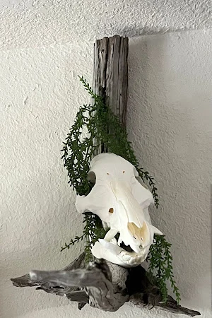 Bobo's Cypress Clocks & Supplies