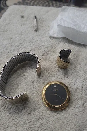 Chen's Watch Inc