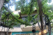 CocoNene - International Market Place