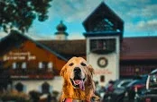 Frankenmuth Clock & German Gift Co. - Clocks, Clock Parts & Authentic German Gifts!