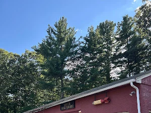 Gary's Antiques & Lamp Restoration