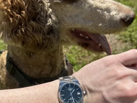 Illinois Watch Company