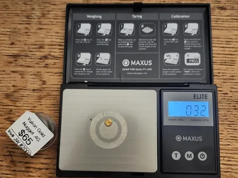 The Antique Experience