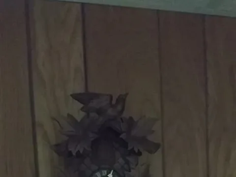 Time Dimensions